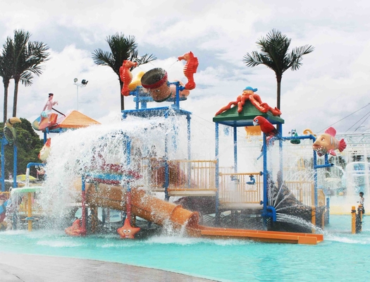 Professional Kids Water Play Equipment Structures With Water Slide , Climb Net