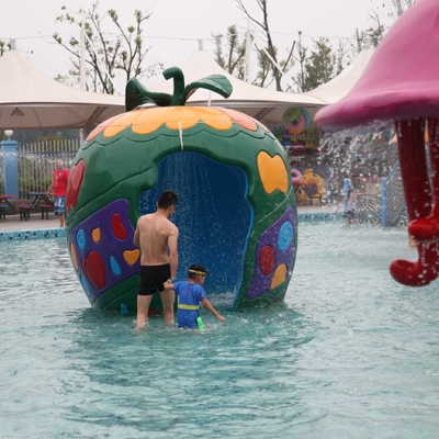 Colorful Carp Spray Park Fiberglass Equipment For Children / Kids Water Playground
