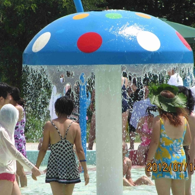 Carp Spray Park Fiberglass Water Park Equipment , Water Play Equipment