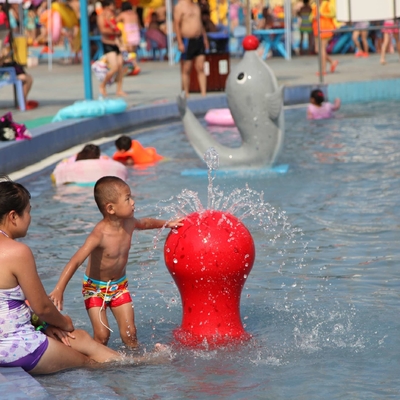 Customized Carp Carton Spray Park Equipment For Children / Kids Fun in Swimming Pool