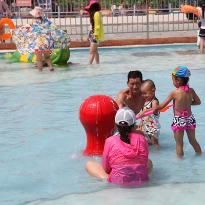 Customized Carp Carton Spray Park Equipment For Children / Kids Fun in Swimming Pool