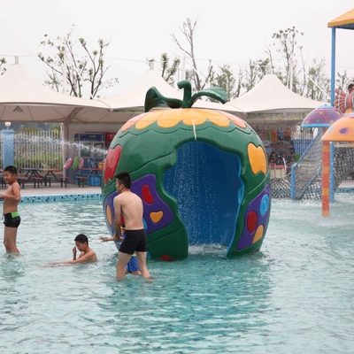 Colorful Carp Spray Park Equipment / Kids' Water Playground
