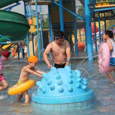 Fiberglass Water Playground Equipment Hedgehog Spray Product For Amusement Park