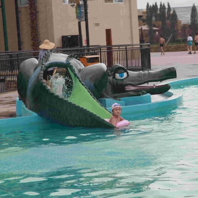 Fiberglass Water Park Equipment Cartoon Crocodile Slide For Children / Customized Water Slide